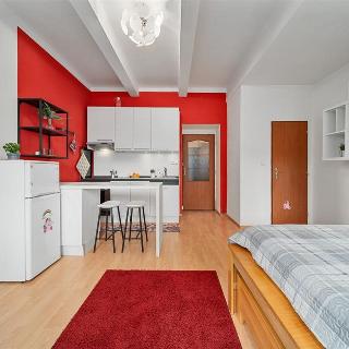 Prodej bytu 1+kk a garsoniéry 61 m² Praha, Konzumní