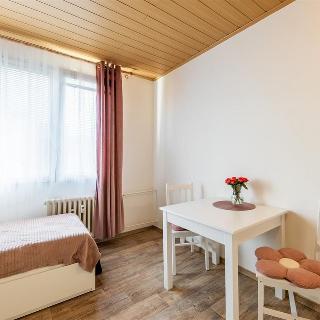 Prodej bytu 1+kk a garsoniéry 20 m² Plzeň, Popelnicová