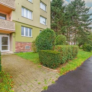 Prodej bytu 2+1 60 m² Karlovy Vary, Závodu míru