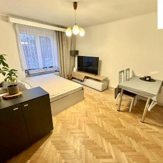 Pronájem bytu 2+1 48 m² Plzeň, Družstevní