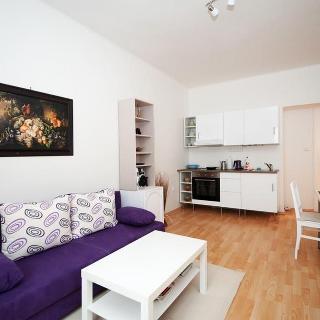 Pronájem bytu 2+kk 51 m² Praha, Petra Slezáka