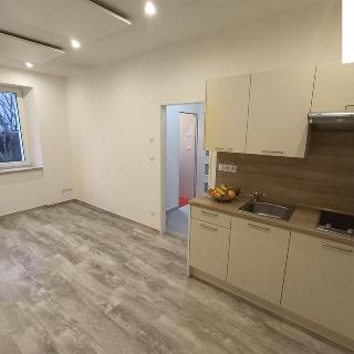 Pronájem bytu 1+kk a garsoniéry 22 m² Plzeň, Slovanská