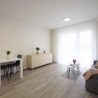 Pronájem bytu 1+kk, garsoniery 32 m² Praha