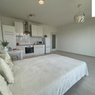 Pronájem bytu 1+kk, garsoniery 34 m² Brno