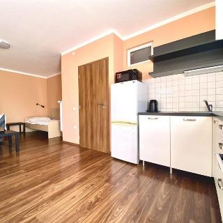 Pronájem bytu 1+kk a garsoniéry 43 m² Kyjov, třída Palackého