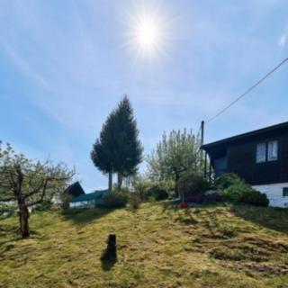 Prodej zahrady 13 m² Úpice, Regnerova