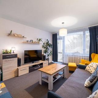 Prodej bytu 3+1 64 m² Česká Lípa, 5. května