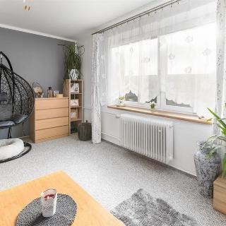 Prodej bytu 3+1 74 m² Jedlová, Lesná