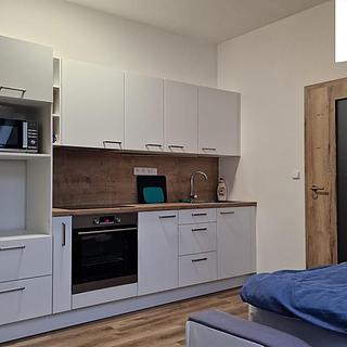Pronájem bytu 1+kk, garsoniery 50 m² Třešť