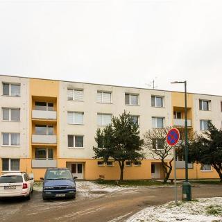 Pronájem bytu 2+1 58 m² Telč, Radkovská