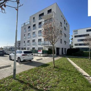 Pronájem bytu 1+kk a garsoniéry 34 m² Brno, Karla Kryla