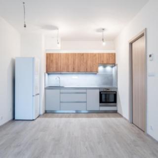 Pronájem bytu 2+kk 47 m² Brno