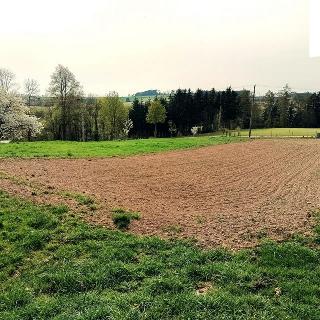 Prodej stavební parcely 2452 m² Dobroutov