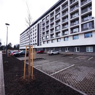 Prodej bytu 1+kk a garsoniéry 24 m² Žďár nad Sázavou, Kovářova