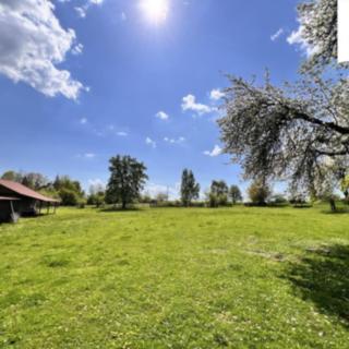 Prodej stavební parcely 3735 m² Krsy
