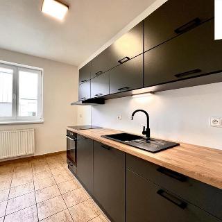 Pronájem bytu 1+1 31 m² Plzeň, Wenzigova