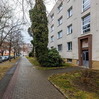 Pronájem bytu 1+1 36 m² Plzeň, Brojova