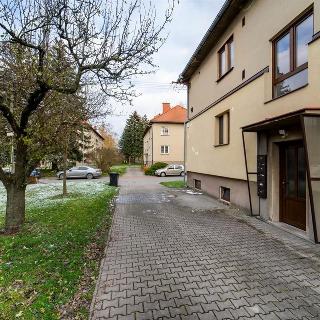 Prodej bytu 2+1 50 m² Vysoké Mýto, Palackého