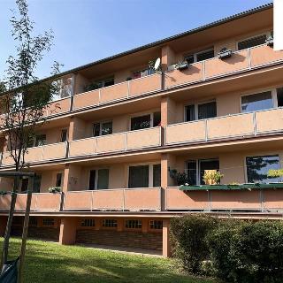 Prodej bytu 2+kk 44 m² Teplice, Slovenská