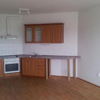 Pronájem bytu 1+kk a garsoniéry 36 m² Jihlava, Nad Jihlávkou