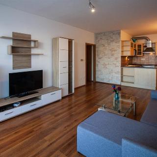 Pronájem bytu 2+kk 61 m² Jihlava, Nad Jihlávkou