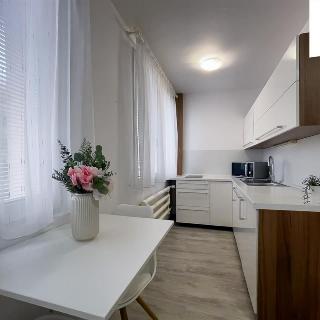 Pronájem bytu 1+1 27 m² Pardubice, Okrajová