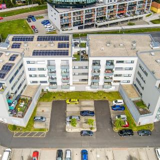 Prodej bytu 1+kk a garsoniéry 32 m² Plzeň, Štefánikova