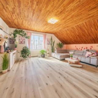 Prodej rodinného domu 338 m² Lampertice
