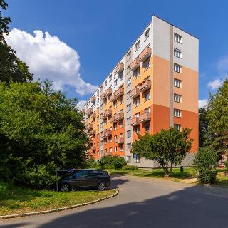 Prodej bytu 3+1 53 m² Brno, Vídeňská