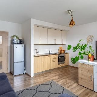 Pronájem bytu 2+kk 45 m² Plzeň