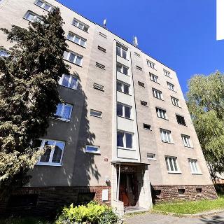 Pronájem bytu 3+1 75 m² Plzeň, Liliová