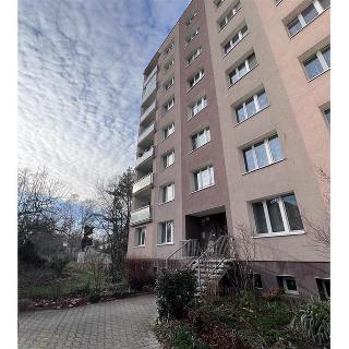 Pronájem bytu 1+kk a garsoniéry 21 m² Plzeň, Staniční