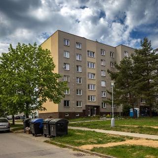 Prodej bytu 1+1 33 m² Plzeň, Pecháčkova