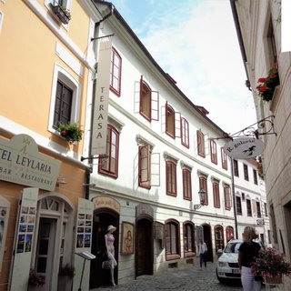 Prodej historického objektu 1 100 m² Český Krumlov, Dlouhá