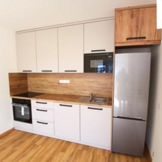 Pronájem bytu 2+kk 46 m² Blovice, Javorová