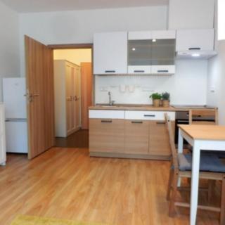 Pronájem bytu 1+kk a garsoniéry 28 m² Jihlava, U Cihelny