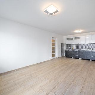 Prodej bytu 3+kk 64 m² Břežany II