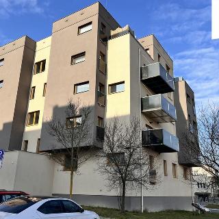 Prodej bytu 3+kk 87 m² Plzeň, U Velkého rybníka