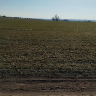 Prodej stavební parcely 4 538 m² Hrušovany nad Jevišovkou
