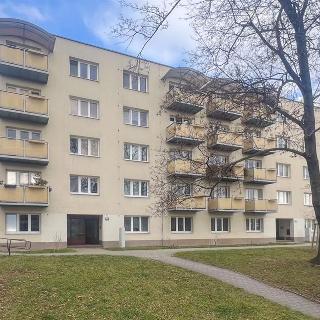 Prodej bytu 3+1 73 m² Brno, Provazníkova