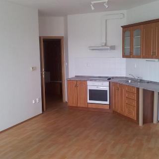 Pronájem bytu 1+kk, garsoniery 36 m² Jihlava