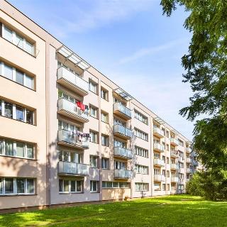 Prodej bytu 1+kk a garsoniéry 26 m² Pardubice, Prodloužená