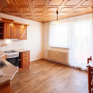 Pronájem bytu 1+1 42 m² Jihlava, Březinova