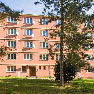 Pronájem bytu 2+1 58 m&sup2; Jihlava