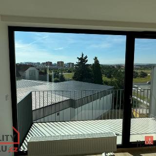 Pronájem bytu 2+kk 53 m² Plzeň, Goldscheiderova