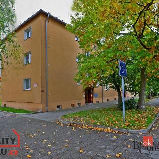 Pronájem bytu 2+1 57 m² Ostrov, Hlavní třída