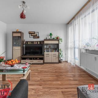 Prodej bytu 3+1 75 m² Cvikov, Boženy Němcové