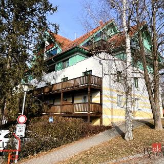 Prodej bytu 1+kk a garsoniéry 46 m² Lipno nad Vltavou, 