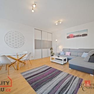 Prodej bytu 1+1 41 m² Trutnov, Rolnická