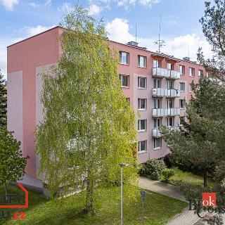 Prodej bytu 3+1 74 m² Moravské Budějovice, Šafaříkova